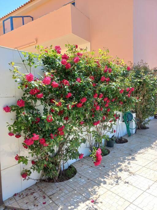 Appartamento Casa Do Portao Azul - Dourada Atouguia Da Baleia Esterno foto