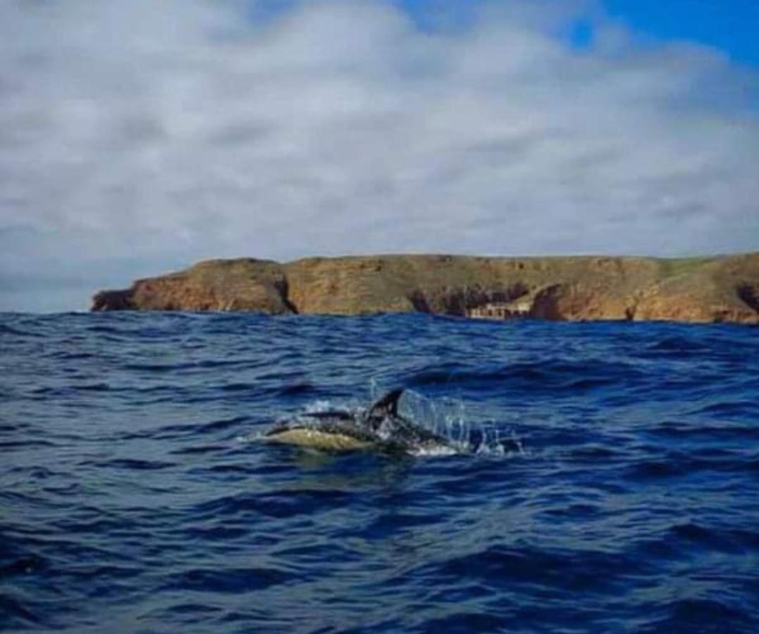 Appartamento Casa Do Portao Azul - Dourada Atouguia Da Baleia Esterno foto